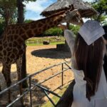 taxi Da Nang Airport to Vinpearl Nam Hoi An