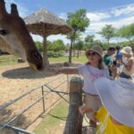 transfer to Vinpearl Safari